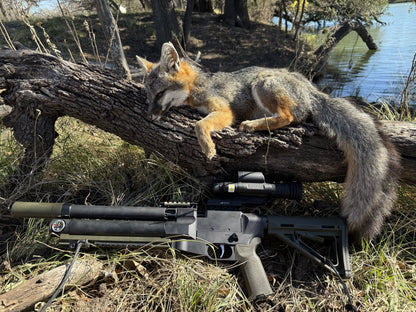 Custom FL 30 Air Rifle by American Air Arms