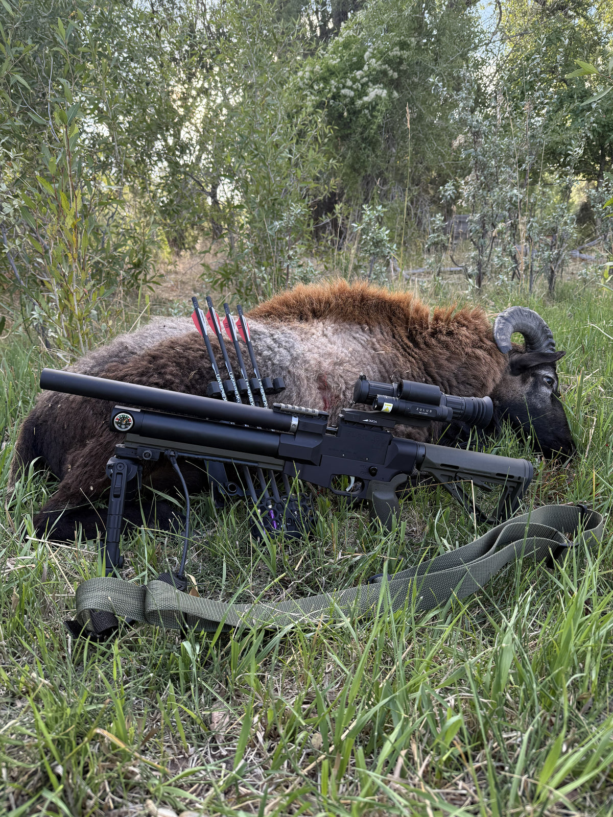 Custom FL 30 Air Rifle by American Air Arms