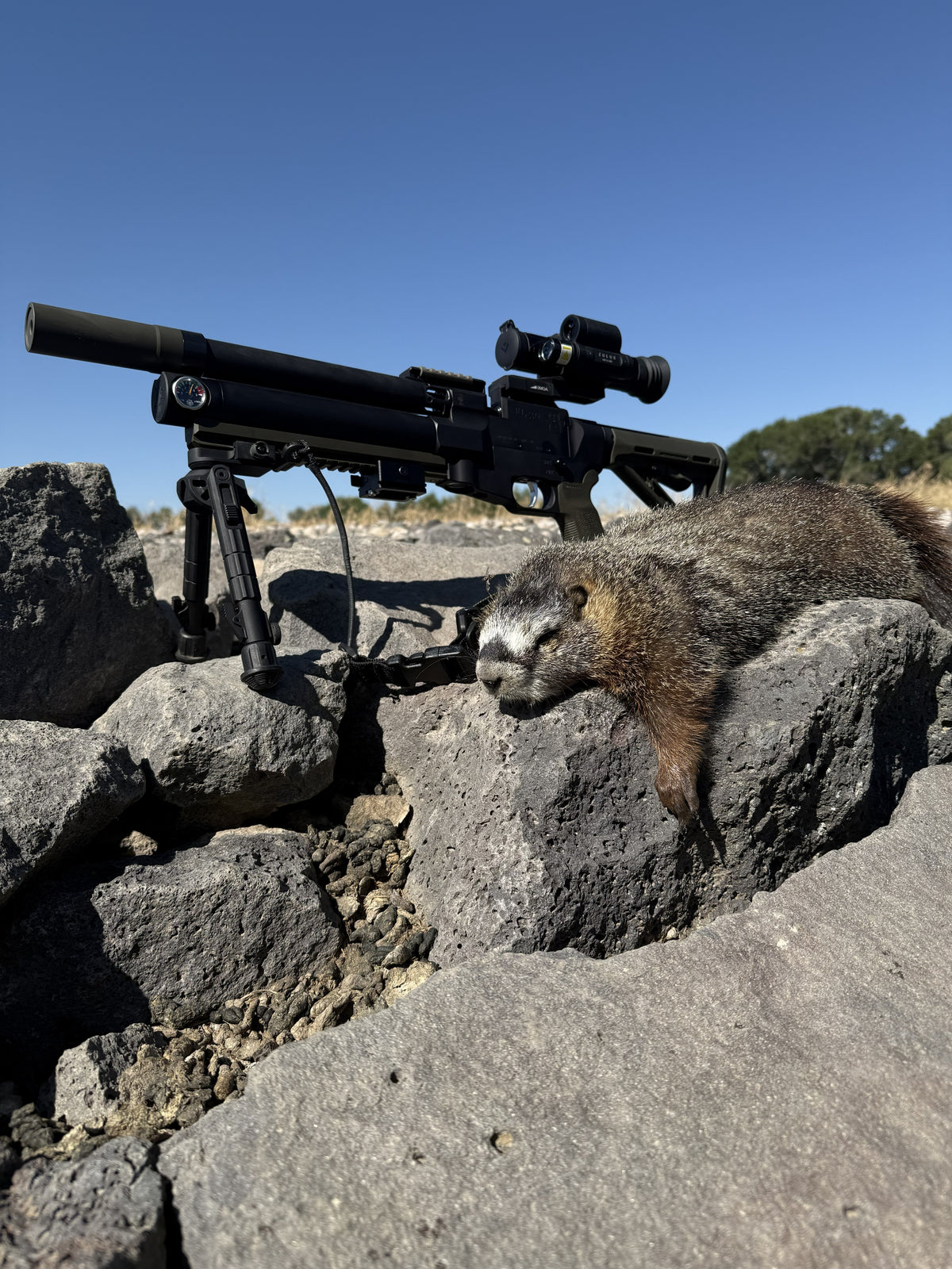 Custom FL 30 Air Rifle by American Air Arms
